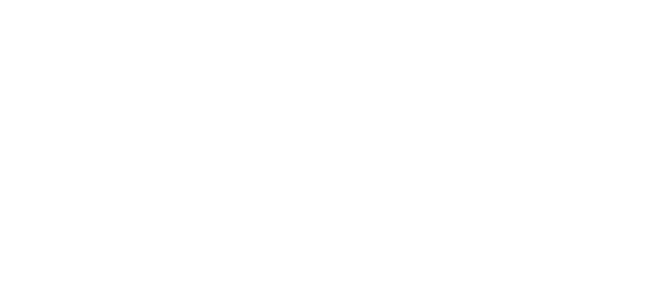 The Leaders Institute Logo White