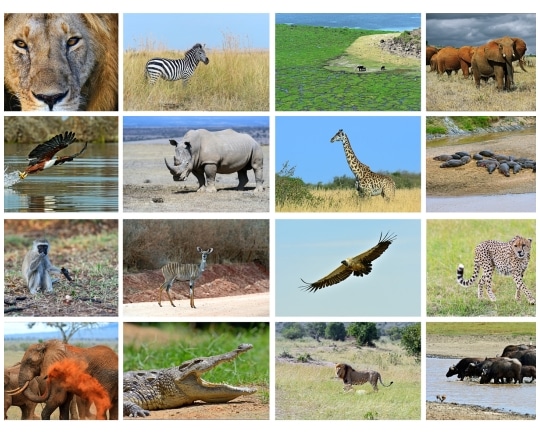 Leadership Personality Test