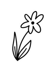 Flower Drawing
